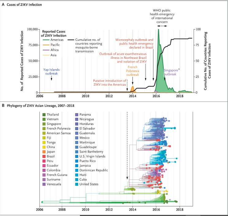 Reported Cases and Spread of the Zika Virus