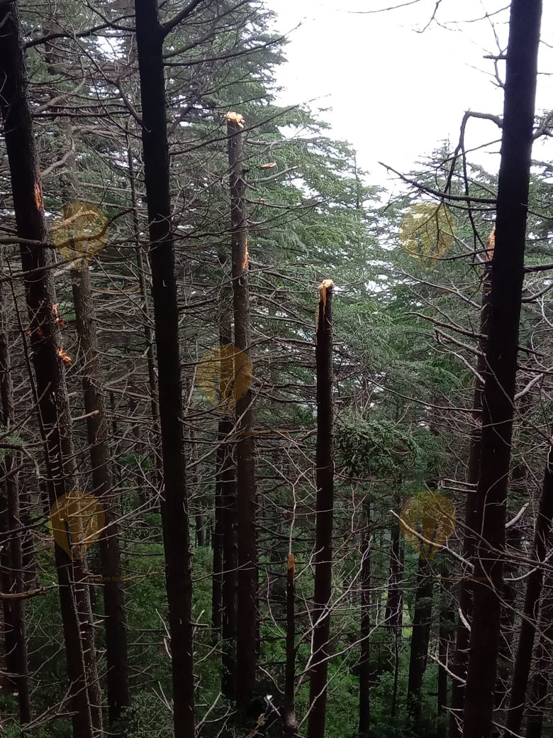 Two pilots killed after Army helicopter crash Major Rohit Kumar and Major Anuj Rajput