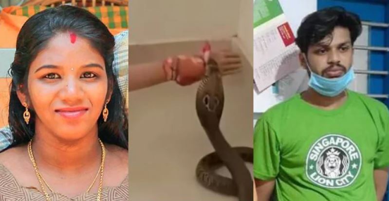 Left to Right Uthra-Snake bite test - Sooraj S Kumar