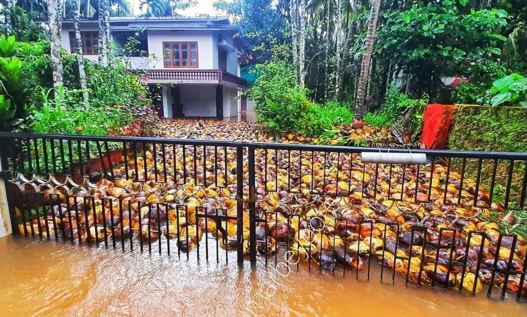 Kerala Flood 2021