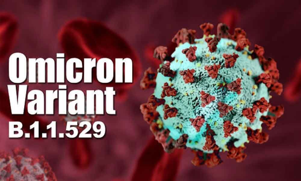 Covid 19 Omicron Variant