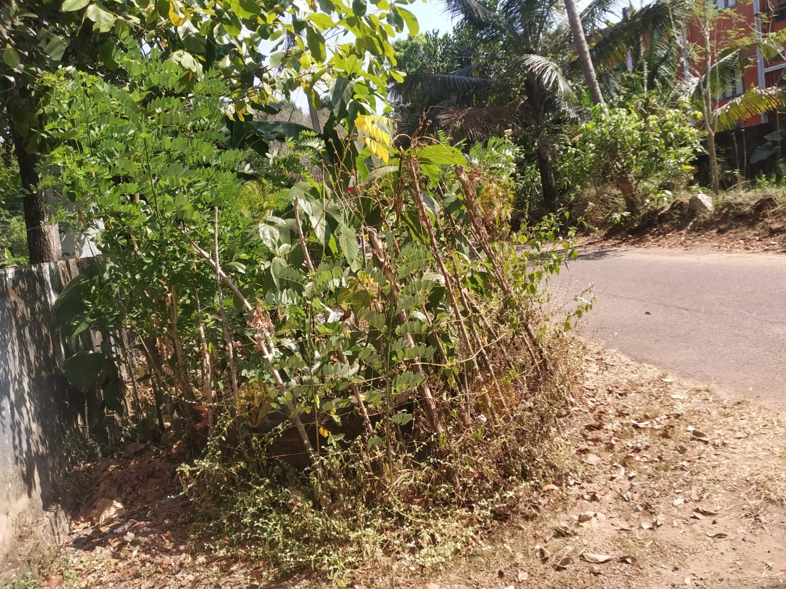 കൈവരി ഇല്ലാത്ത കിണർ   , Panchayat Well