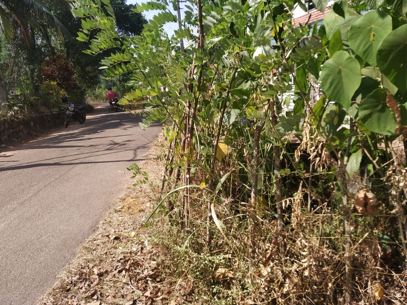 കൈവരി ഇല്ലാത്ത കിണർ   , Panchayat Well