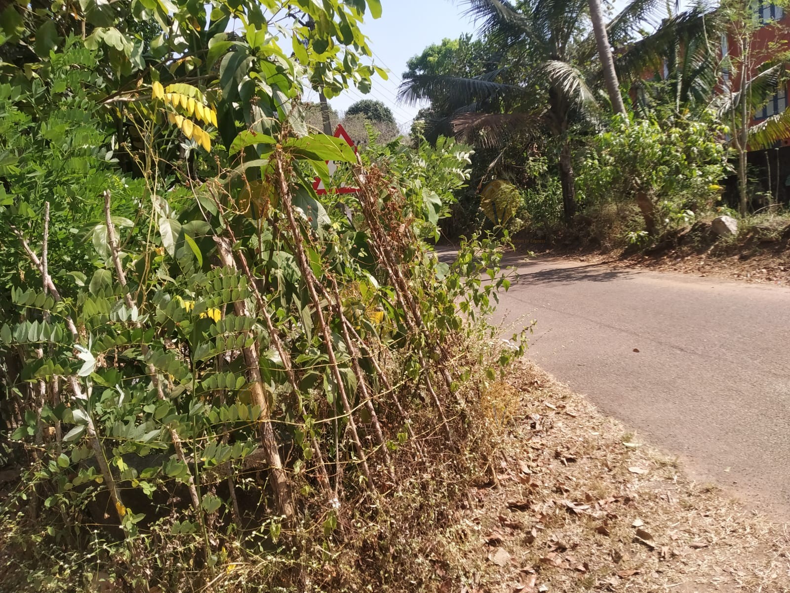 കൈവരി ഇല്ലാത്ത കിണർ   , Panchayat Well