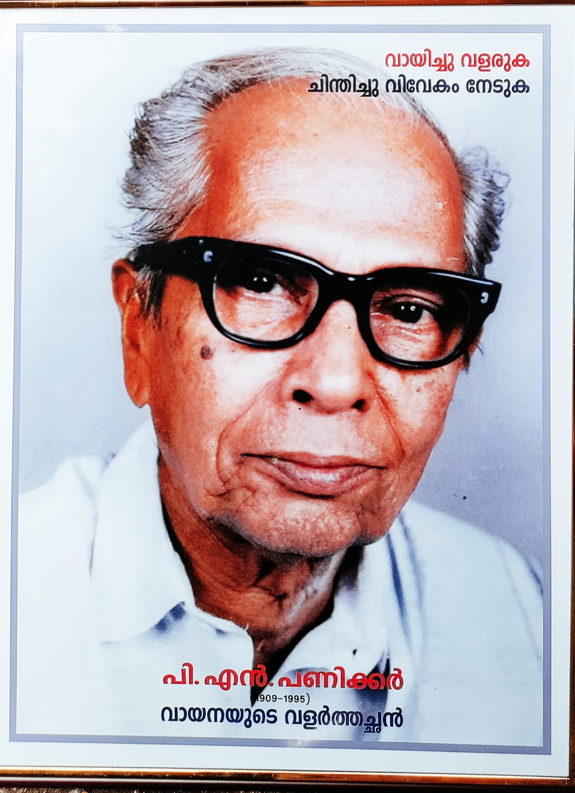 P N Panikkar