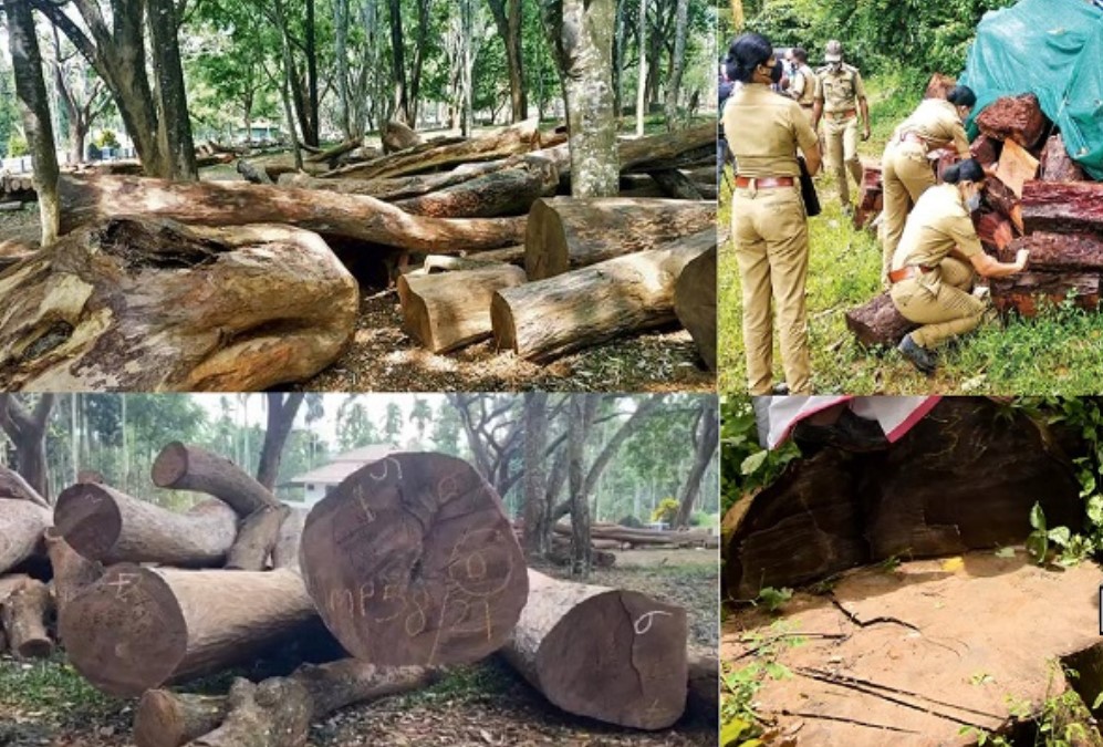 Muttil tree felling scam in Wayanad