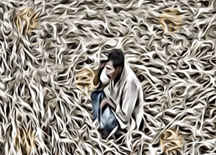 Farmer in paddy field