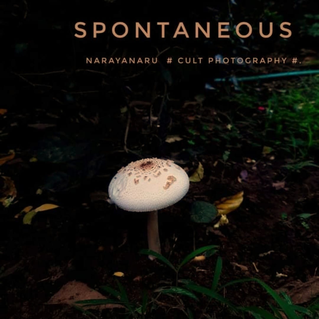 Photo By Narayanaru cameraman and documentary maker from Tvm