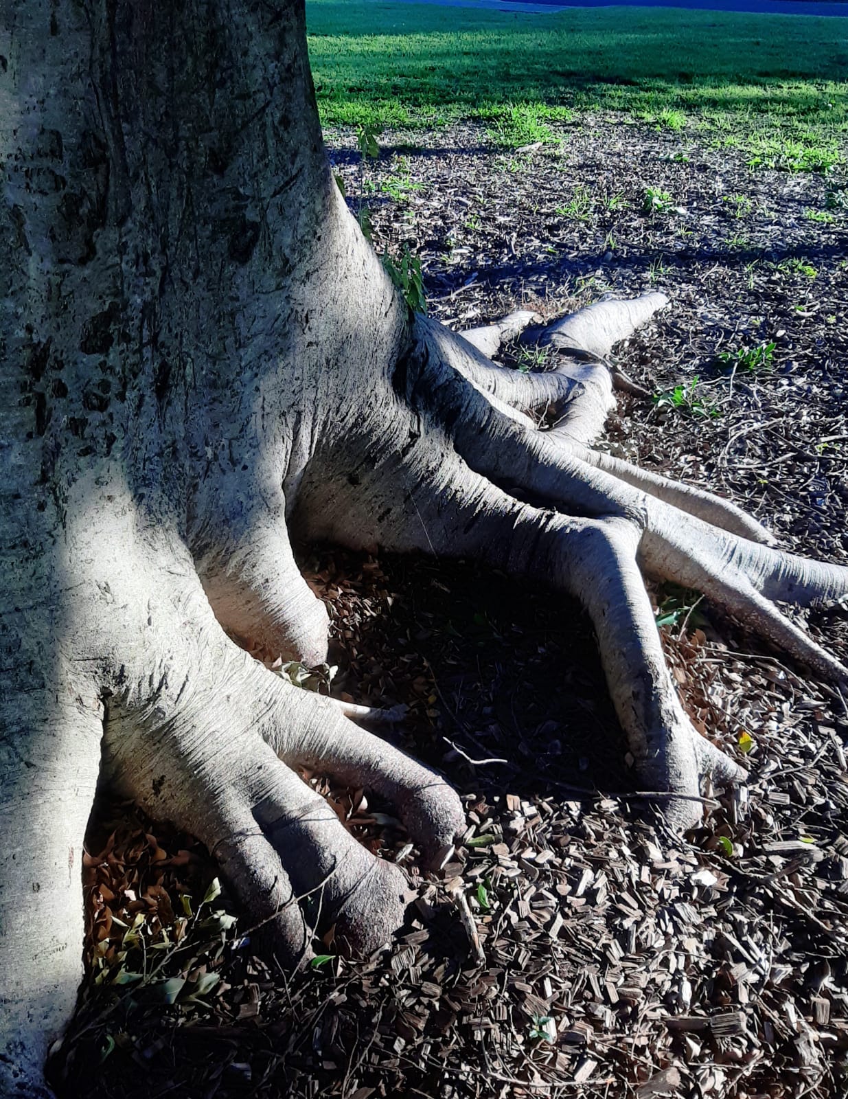 Photo By Narayanaru cameraman and documentary maker from Tvm