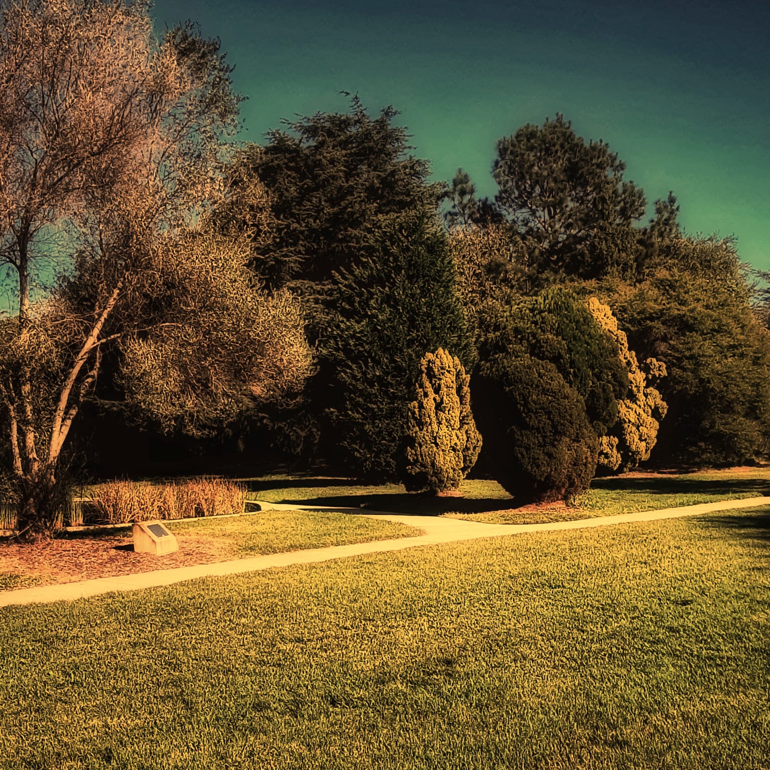 Photo By Narayanaru cameraman and documentary maker from Tvm