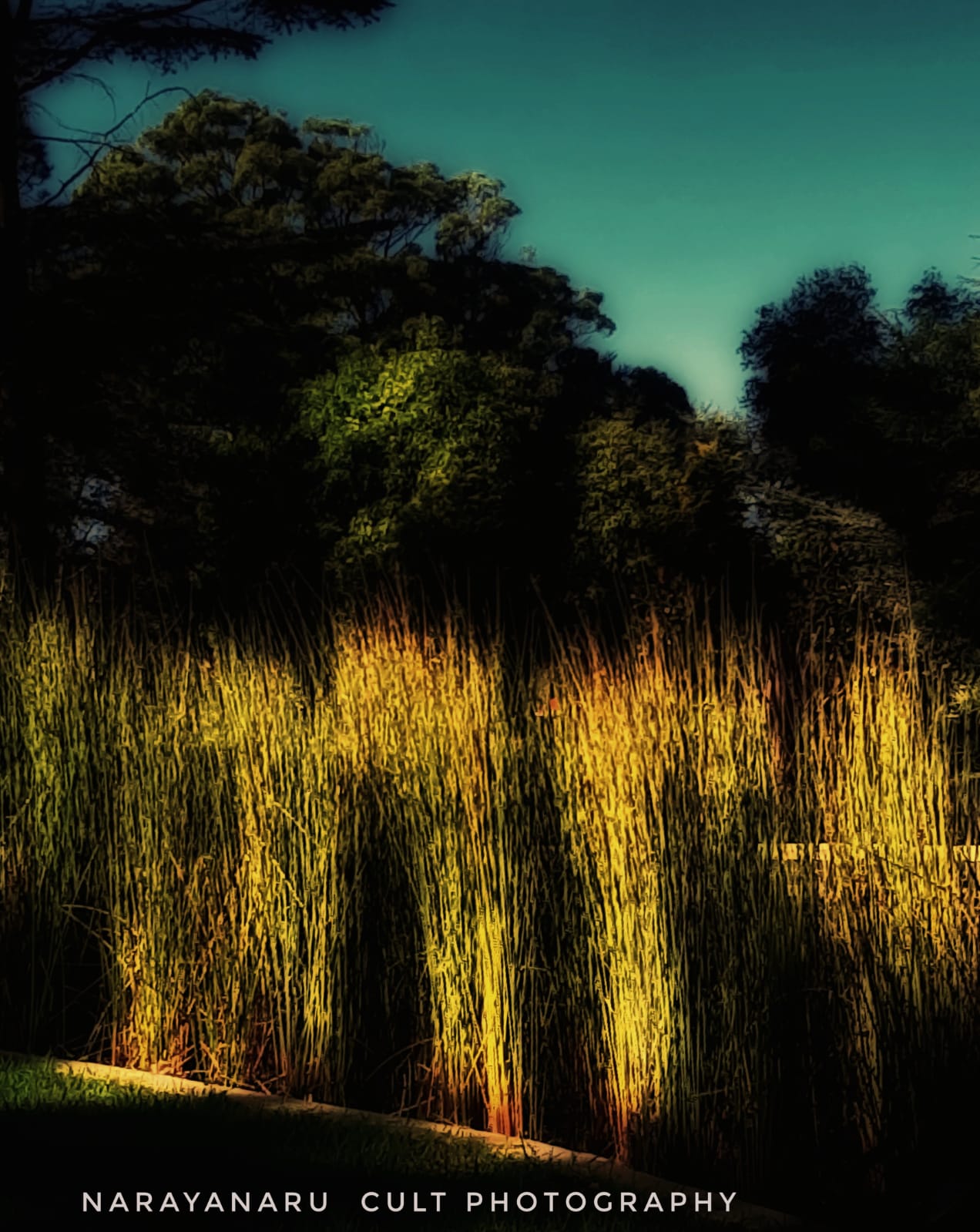 Photo By Narayanaru cameraman and documentary maker from Tvm