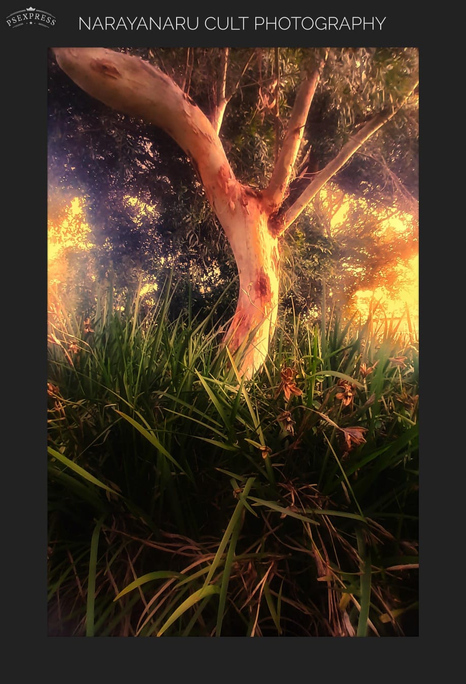 Photo By Narayanaru cameraman and documentary maker from Tvm