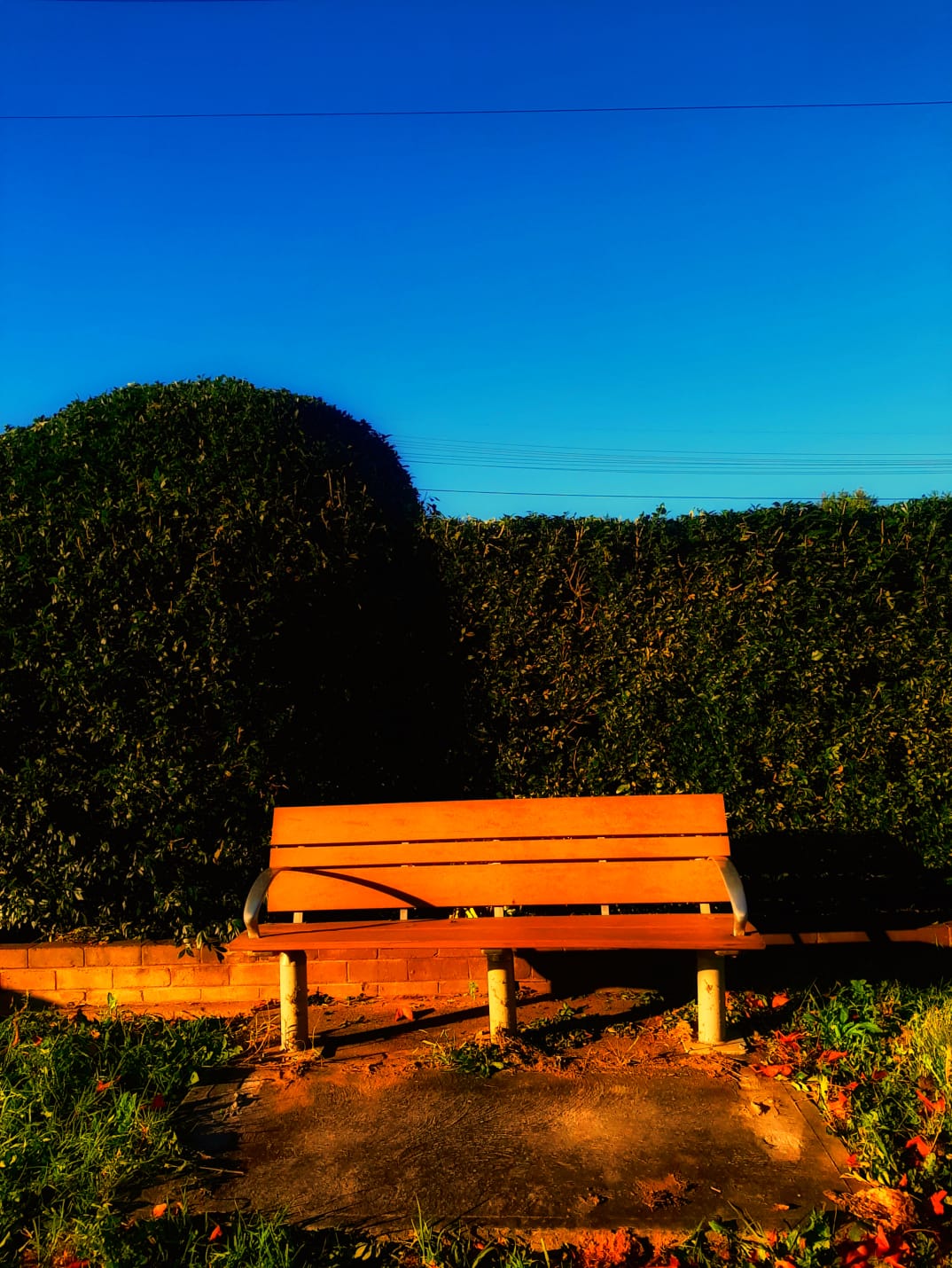 Photo By Narayanaru cameraman and documentary maker from Tvm