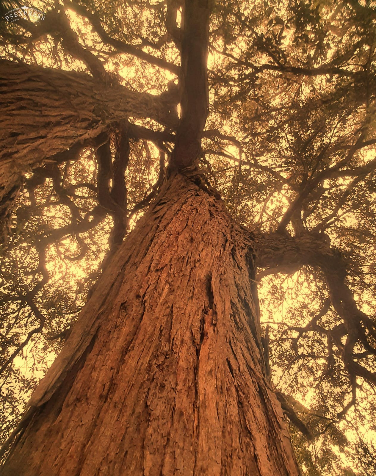 Photo By Narayanaru cameraman and documentary maker from Tvm