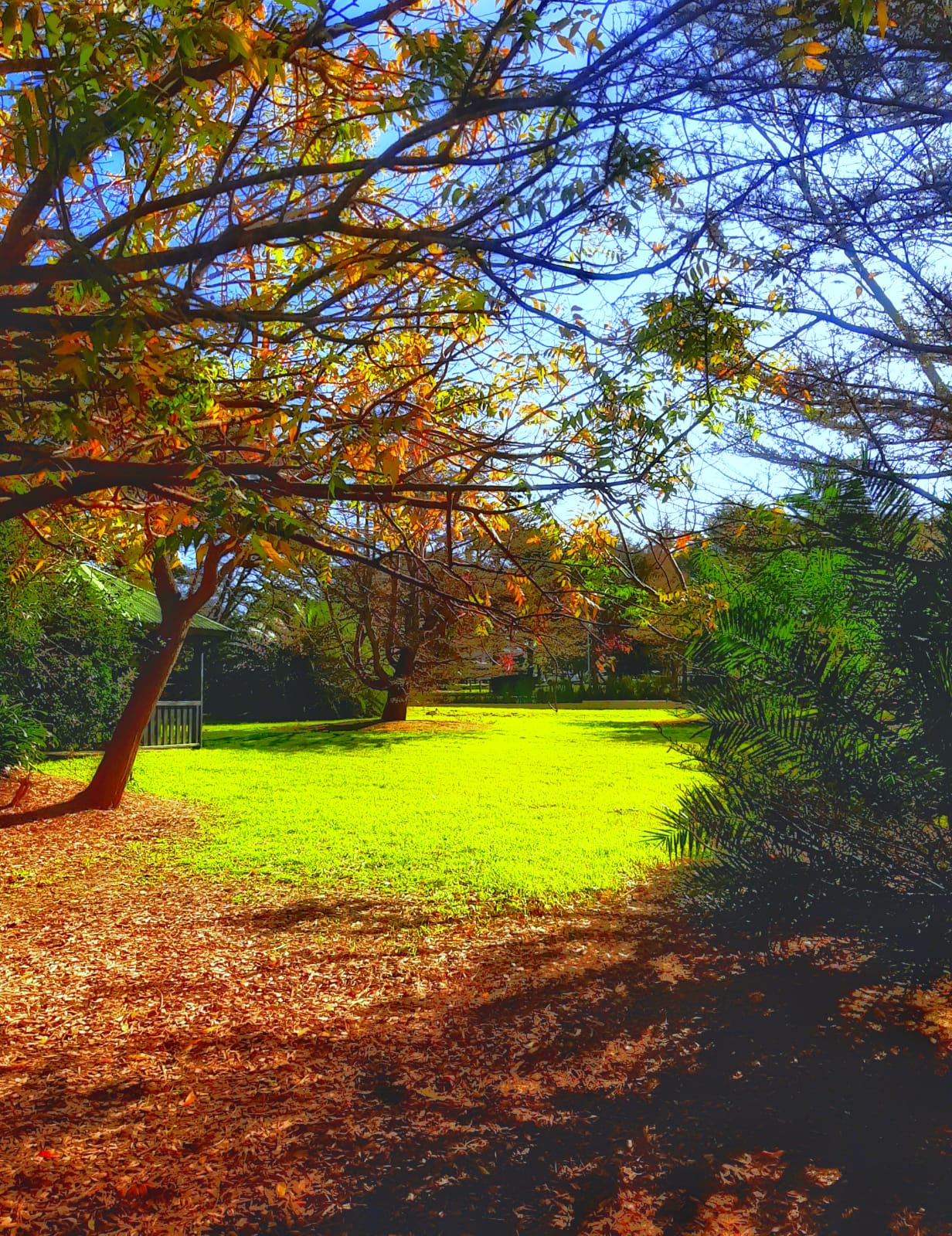 Photo By Narayanaru cameraman and documentary maker from Tvm