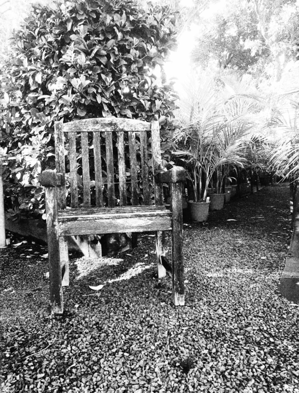 Photo By Narayanaru cameraman and documentary maker from Tvm