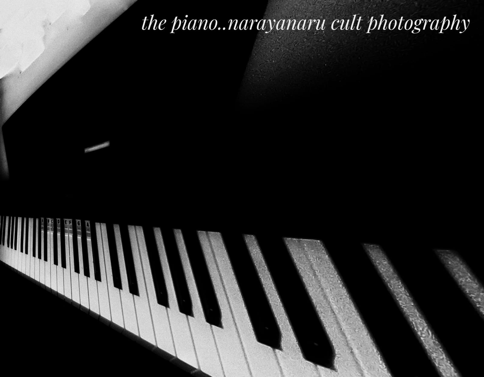 Photo By Narayanaru cameraman and documentary maker from Tvm