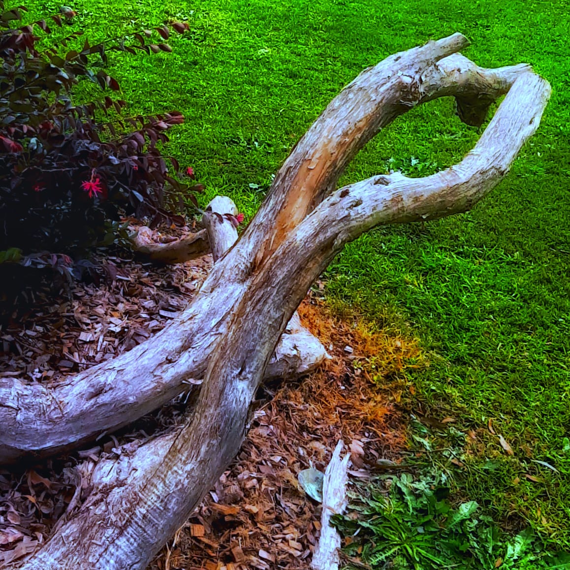 Photo By Narayanaru cameraman and documentary maker from Tvm