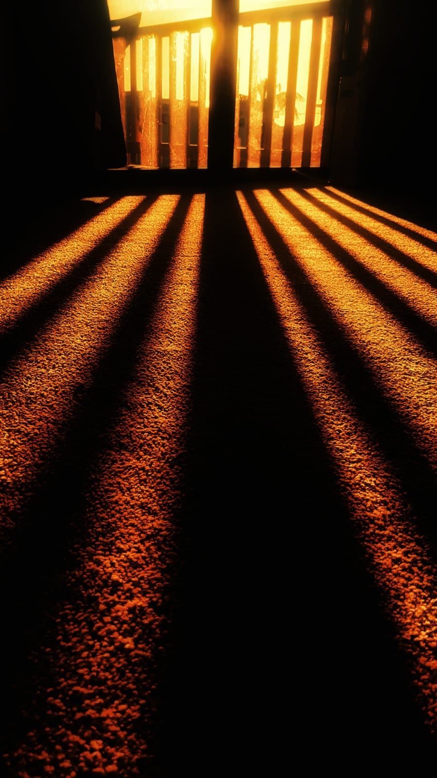 Photo By Narayanaru cameraman and documentary maker from Tvm