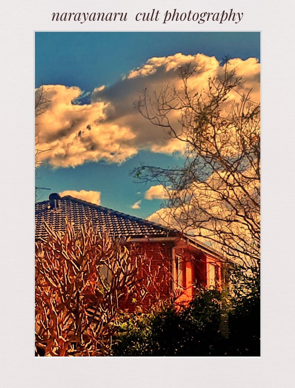 Photo By Narayanaru cameraman and documentary maker from Tvm