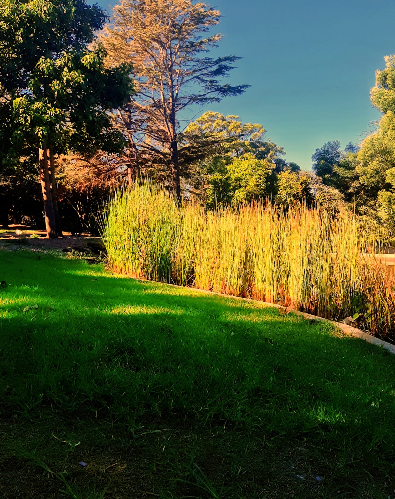 Photo By Narayanaru cameraman and documentary maker from Tvm
