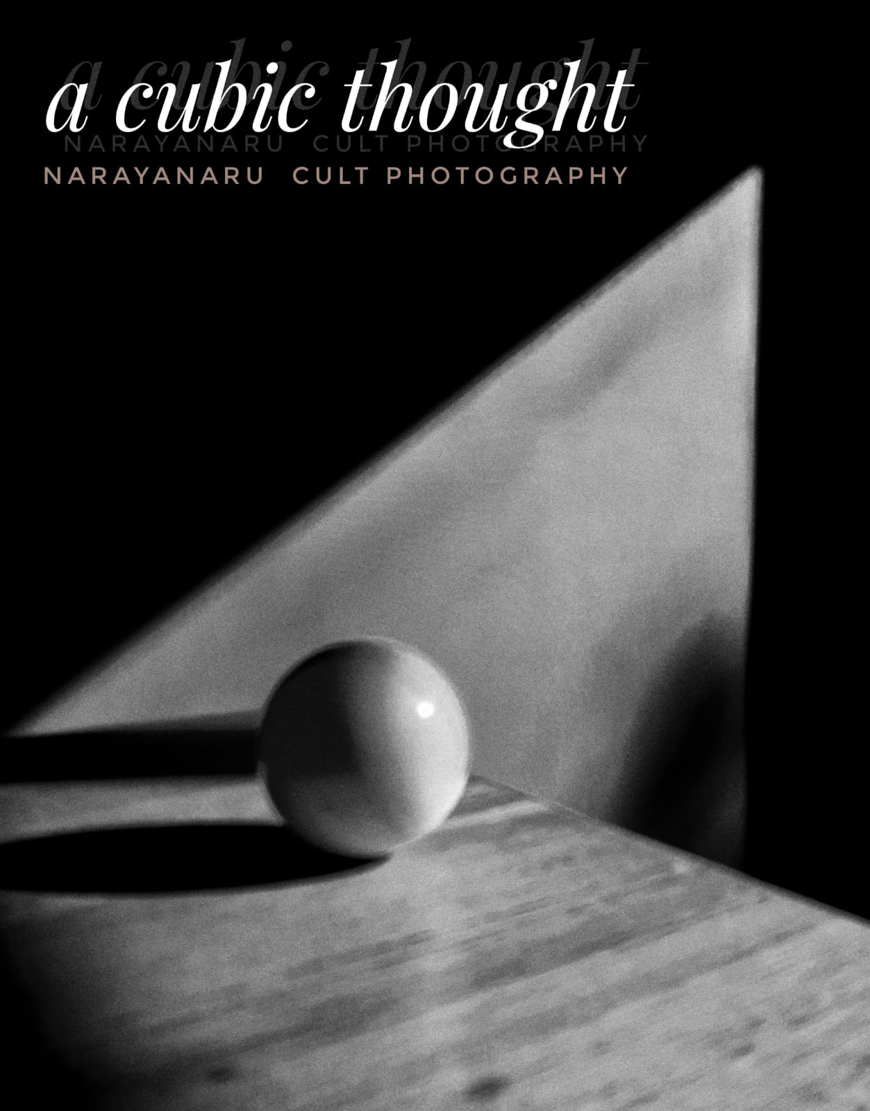 Photo By Narayanaru cameraman and documentary maker from Tvm