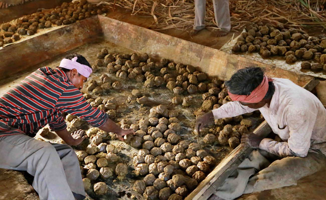 Marayoor jaggery Making