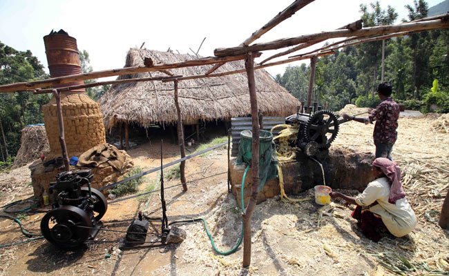 Marayoor jaggery Making