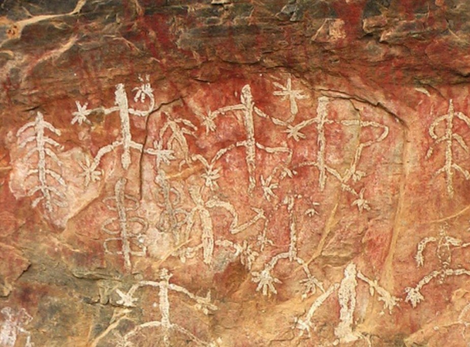 Cave Paintings Marayoor