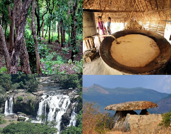Marayoor , Sandalwood Forest , Jaggery Making , Thoovanam Waterfall , Dolmens-Muniyaras