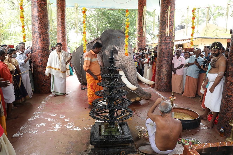 Gajapuja and elephant feeding were held at Kakoor Sri Ambasheri Kavu