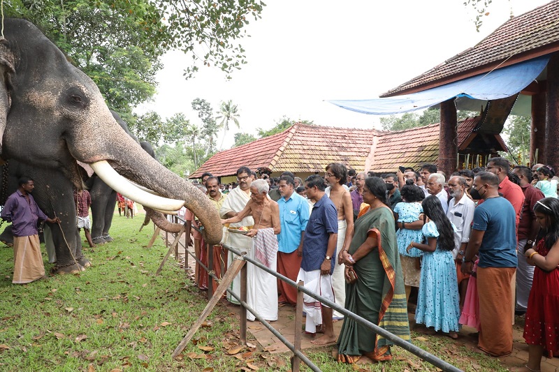 Gajapuja and elephant feeding were held at Kakoor Sri Ambasheri Kavu