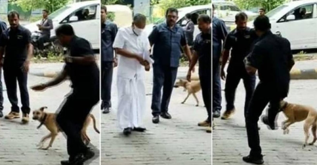 Stray dog ​​rushed near Chief Minister Pinarayi